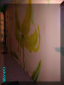 mural artist James Labadie - hallway mural at Vista Maria, image 030